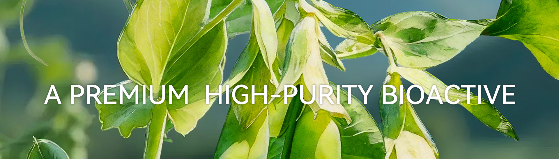 画板 311 画板 311